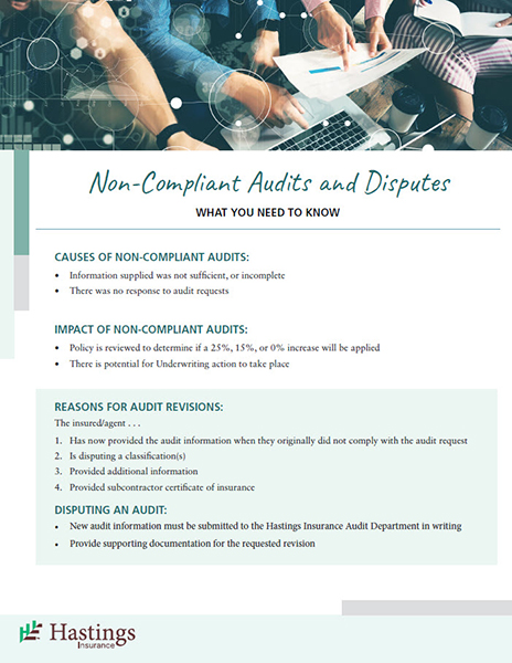 Non-Compliant Audits and Disputes document thumbnail