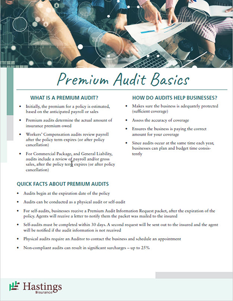 Premium Audit Basics