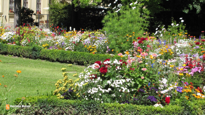 flower garden in flull bloom
