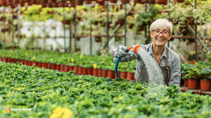 Senior worker in a greenhouse