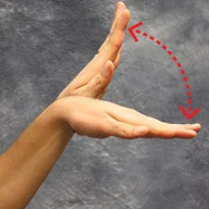 demonstration of the up and down wrist stretch described below