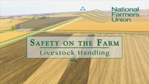 safety on the farm - handling livestock video thumbnail